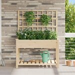 vidaXL Jardinière avec treillis et étagère 115x59x152 cm en bois massif de sapin