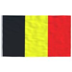 vidaXL Drapeau de la Belgique et mât 6 08 m Aluminium