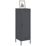 vidaXL Buffet haut anthracite 36x39x113 cm acier