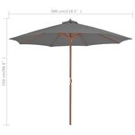 Vidaxl parasol d'extérieur avec mât en bois 300 cm anthracite