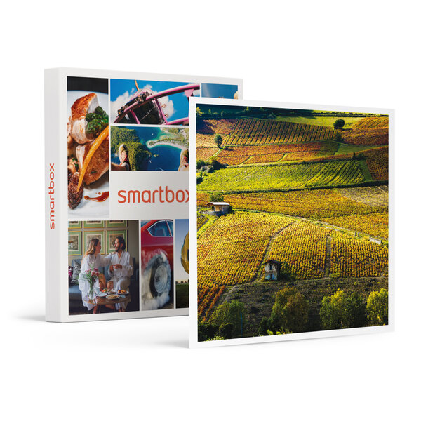 SMARTBOX - Coffret Cadeau Vol en montgolfière pour 2 personnes au-dessus du Beaujolais le matin en semaine -  Sport & Aventure