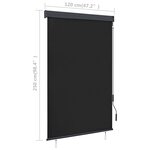 vidaXL Store roulant d'extérieur 120 x 250 cm Anthracite