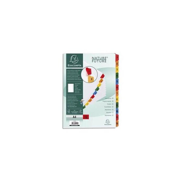 Intercalaires Imprimés numériques carte blanche 160g- 12 positions - A4 Blanc x 20 EXACOMPTA