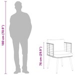 vidaXL Chaise de jardin avec coussins noir résine tressée
