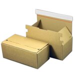 Lot de 1000 boîte postale autocollante spid'boite 01 format 268x135x100 mm