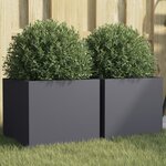 vidaXL Jardinières 2 Pièces anthracite 32x30x29 cm acier laminé à froid