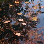 Ubbink Filet de couverture de bassin PE 4x6 m