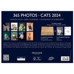 Coffret éphéméride Agenda Yvon 2025 - Différents Thèmes - Chats - Draeger