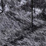 vidaXL Tapis Shaggy à poils longs NAVARRA gris foncé 240x340 cm