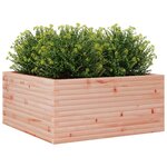 vidaXL Jardinière 100x100x46 cm bois massif de douglas