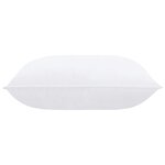 vidaXL Garnitures de coussin 2 Pièces 60x40 cm Blanc