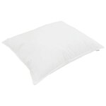 vidaXL Duvet toutes saisons avec oreiller 2 Pièces Blanc Microfibre