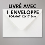 Carte FLUO Bonne Fête Oiseau Perruche Perroquet - Avec Enveloppe 12x17,5cm