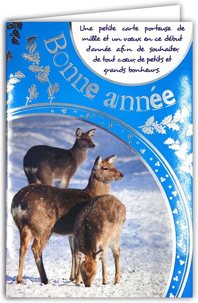 Lot 10 cartes identiques bonne année meilleurs vœux avec 10 enveloppes blanches