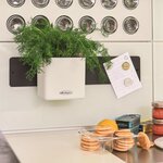 LECHUZA 3 Pièces Jardinières Green Wall Home Kit Blanc