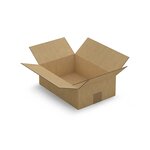 Caisse carton brune simple cannelure raja 31x21 5x10 cm (lot de 25)