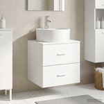 vidaXL Vanité de lavabo mural Blanc 49 5 x 44 5 x 65 cm