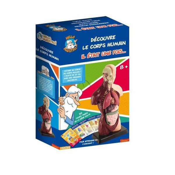HELLO MAESTRO Buste anatomie - Découvre le corps humain