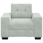 vidaXL Fauteuil Gris clair 60 cm Velours