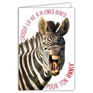 Carte Bon Anniversaire Humoristique avec Enveloppe Illustrée format 17 5x12cm Zèbre Drôle Amusant Rigolo qui Hennit Sourit et Croque la Vie à pleines Dents - Création Fabrication française 69-6211
