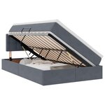 vidaXL Lit avec rangement et LED Gris foncé 120 x 190 cm Velours