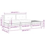 vidaXL Canapé de jardin avec coussins et repose-pied 2 places