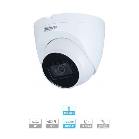 Dahua mini caméra dôme 2MP IP POE