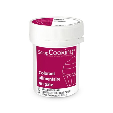 Colorant alimentaire en pâte 20 g - Prune