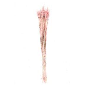 Gerbes de bés séchés rose - 70 cm