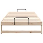 vidaXL Cadre de lit Marron 100 x 200 cm Pin massif