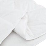 vidaXL Duvet d'hiver Blanc 200 x 200 cm Plume