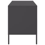 vidaXL Meubles TV 2 Pièces noir 68x39x50 5 cm acier