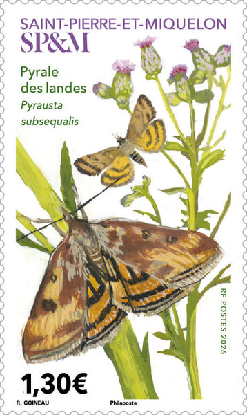 Timbre Saint Pierre et Miquelon - Pyrale des landes