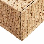vidaXL Boîte de rangement Naturel 60 x 38 x 20 cm Jacinthe d'eau