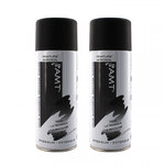 Lot de 2 bombes de peinture - noir mat - amt