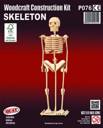 Maquette en bois Squelette