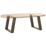 vidaXL Pieds de table basse en U  2 pièces  acier naturel  60 x (42-43) cm