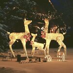 vidaXL Décoration de Noël famille de rennes Doré 201 LED