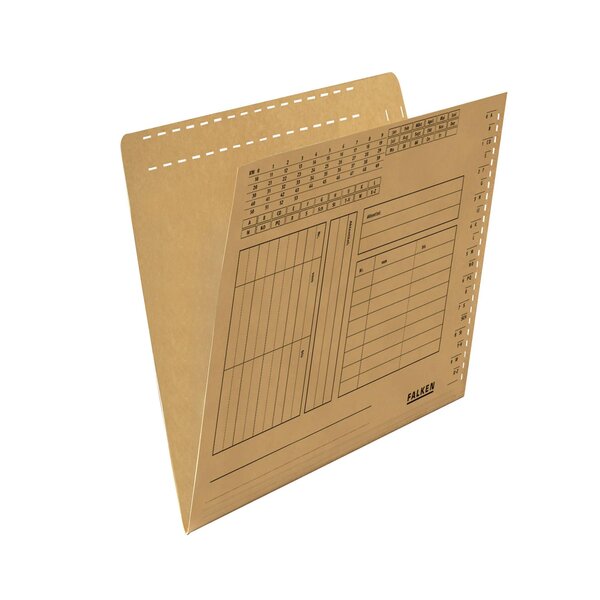 Chemise Pour Dossier Suspendu A4 - Brun - X 100 - Falken