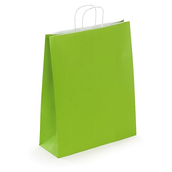 Sac kraft lisse vert à poignées torsadées raja 32 x 40 x 12 cm (lot de 50)