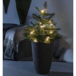 KONSTSMIDE Guirlande lumineuse avec 20 ampoules transparentes