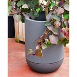 Pot de fleurs Tulipe - granit - gris