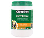 Colle d'encadrement Cleo'cadre 1 kg