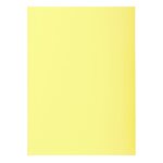 Paquet de 30 sous-chemises SUPER 60 - 22x31cm - Couleurs assorties EXACOMPTA