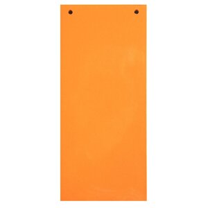 Paquet 100 Fiches Intercalaires Horizontales Unies Perforées - 105x240mm - Orange - X 12 - Exacompta
