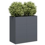 vidaXL Jardinière anthracite 80x40x80 cm acier laminé à froid