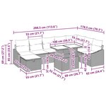 vidaXL Ensemble de Canapé de Jardin de 9 Pièces avec Coussins Noirs en Rattan Poly