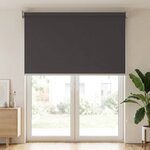 vidaXL Store roulant extérieur protection UV Anthracite Polyester