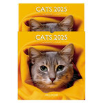 Grand Calendrier Mural 29x29 Cm - 2025 - Chats - Draeger paris