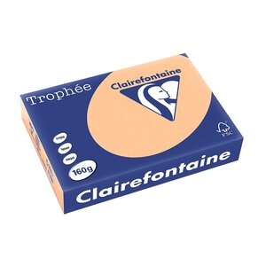 Ramette 250 Feuilles Papier 160g A4 210x297 mm Abricot CLAIREFONTAINE